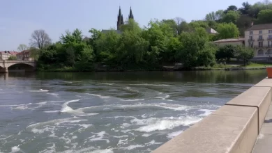 Photo of Водные прогулки по реке Рейн в Германии